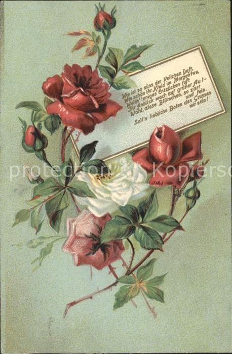 Rosen Gedicht Litho