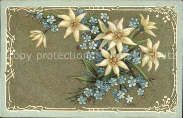 Edelweiss Vergissmeinnicht Litho