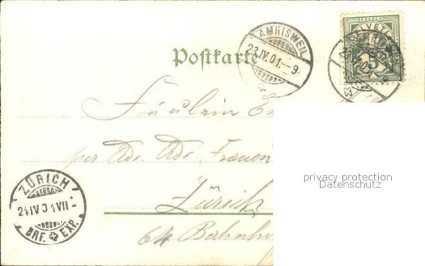 Edelweiss Vergissmeinnicht Wassermühle Litho – Bild 2