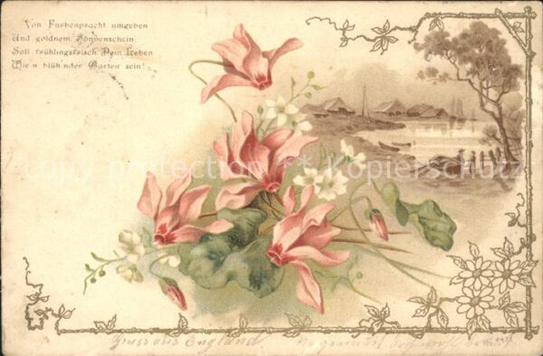Blumen Alpenveilchen Gedicht Litho