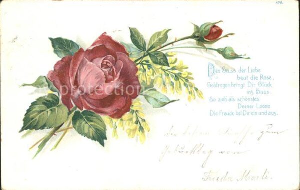 Rosen Gedicht Litho