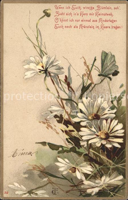 Blumen Margeriten Schmetterling Gedicht Litho