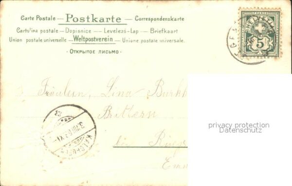 Edelweiss Enzian Berge Natur Landwirtschaft Litho – Bild 2