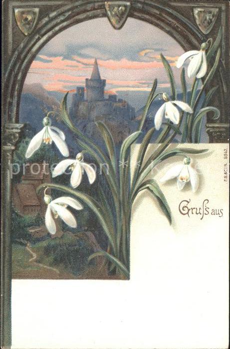 Blumen Schneeglöckchen Schloss Litho