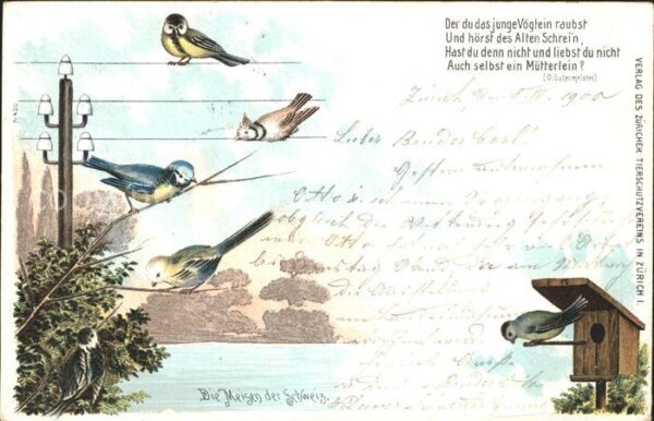 Voegel Vogelhaus Strommast Litho