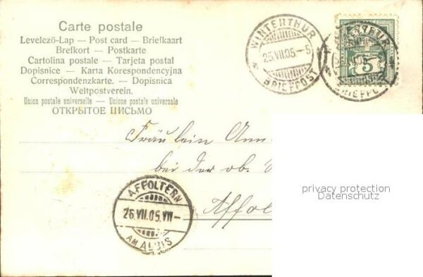 Glueckwunsch Veilchen – Bild 2