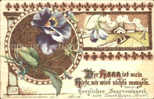 Neujahr Stiefmütterchen Litho Psalm