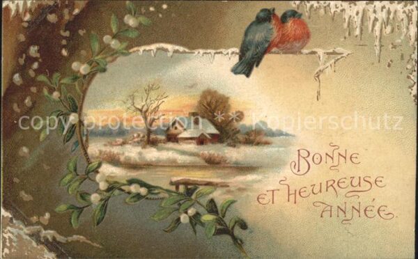Neujahr Vögel Mistel Litho