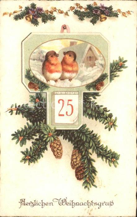 Weihnachten Rotkehlchen Tannenzapfen Datum