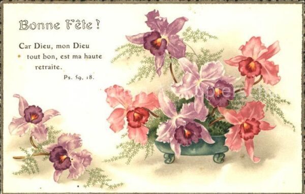 Blumen Akelei
