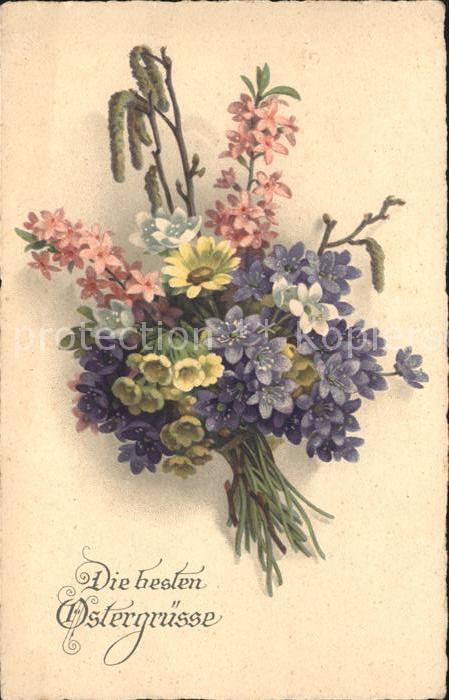 Ostern Easter Paques Leberblümchen Schlüsselblumen Margerite