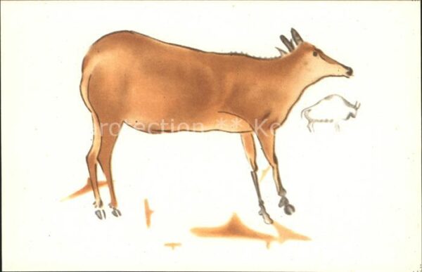 Tiere Hirschkuh Cierva grande y bisonte peque