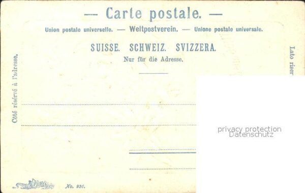 Edelweiss Schweiz – Bild 2