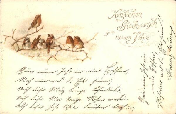 Voegel Rotkehlchen Glückwunsch Neujahr