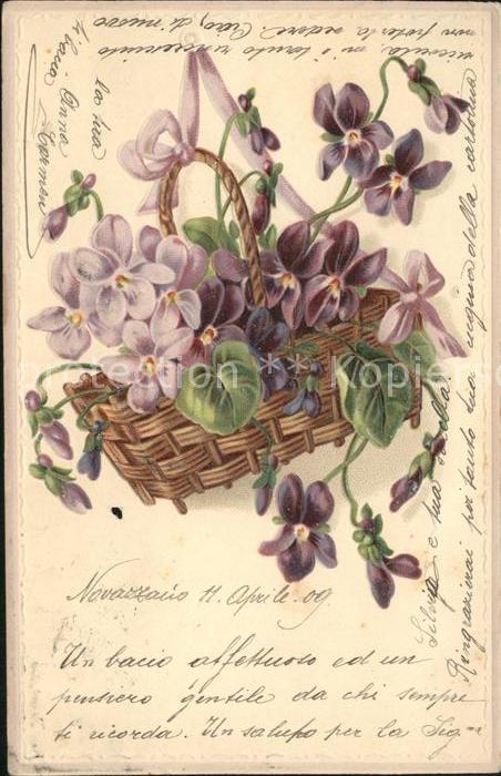 Blumen Veilchen Korb Litho