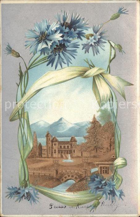 Blumen Kornblumen Litho