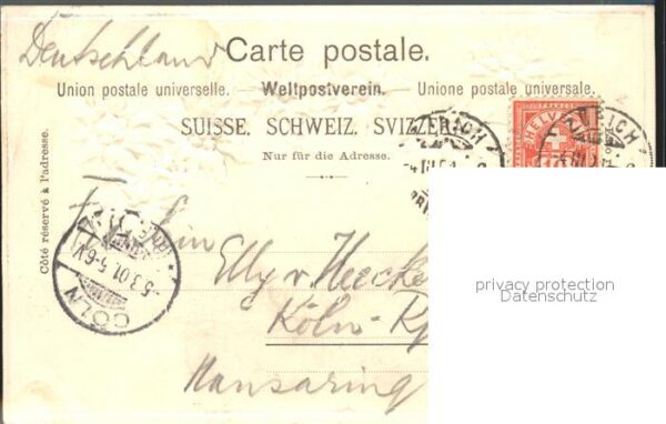Edelweiss Gruss Schweiz – Bild 2