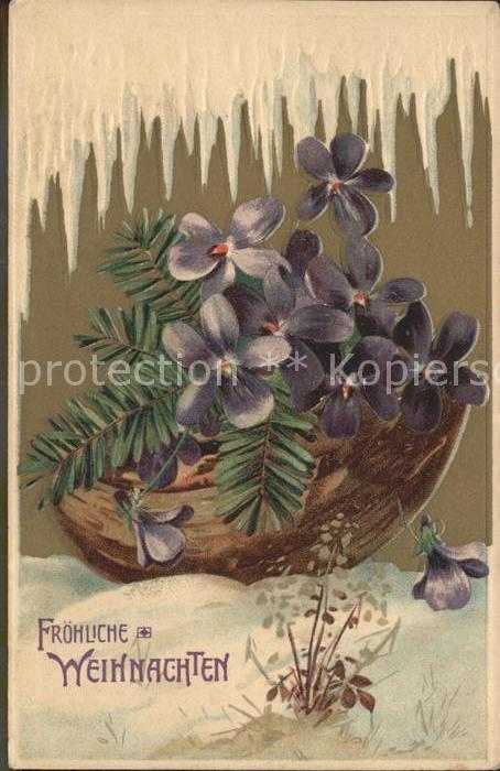 Weihnachten Veilchen Eiszapfen Litho