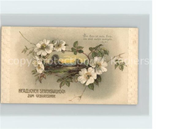 Geburtstag Glückwunsch Blumen Litho