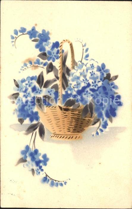 Blumen Vergissmeinnicht Korb
