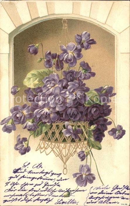 Blumen Veilchen Litho