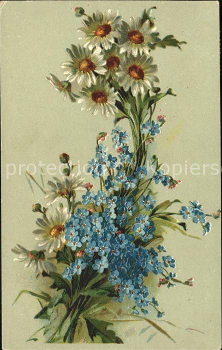 Blumen Vergissmeinnicht Margeriten Litho