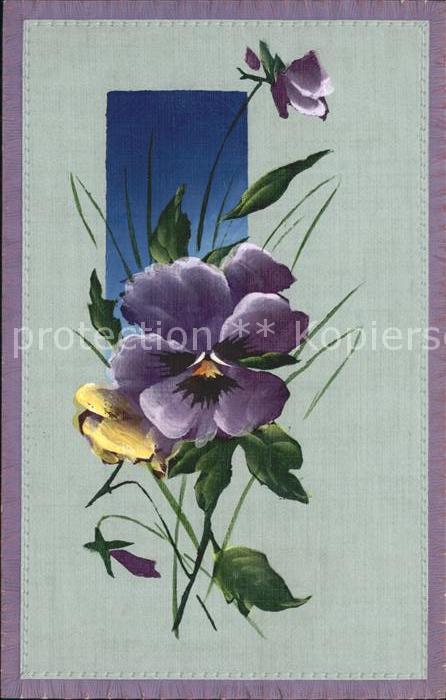 Blumen Veilchen
