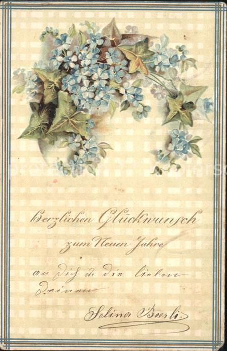 Neujahr Glückwunsch Vergissmeinnicht Efeu Litho