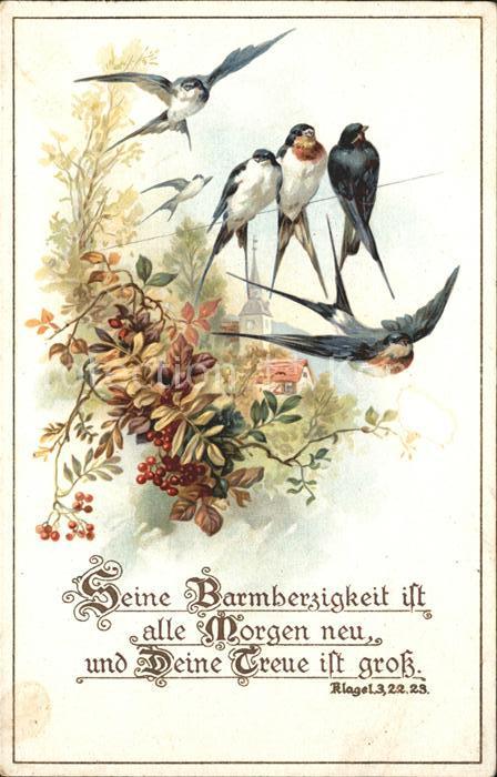 Voegel Schwalben Litho