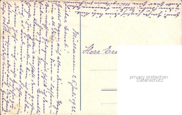 Voegel Schwalben Litho – Bild 2