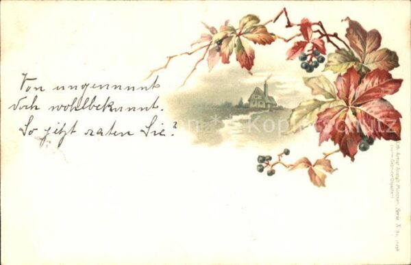 Pflanzen Blätter Blaubeeren Litho Gebrüder-Obpac