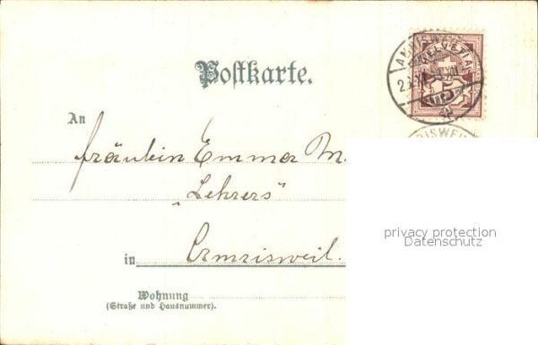 Pflanzen Blätter Blaubeeren Litho Gebrüder-Obpac – Bild 2
