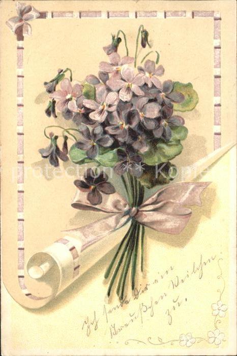 Blumen Veilchen Schleife Litho