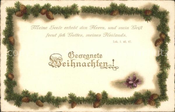 Weihnachten Tannenzapfen Veilchen Litho