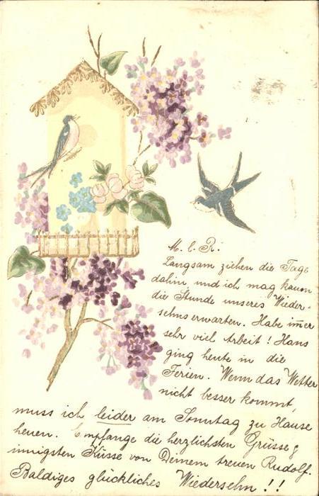 Voegel Schwalben Vogelhäuschen Blumen