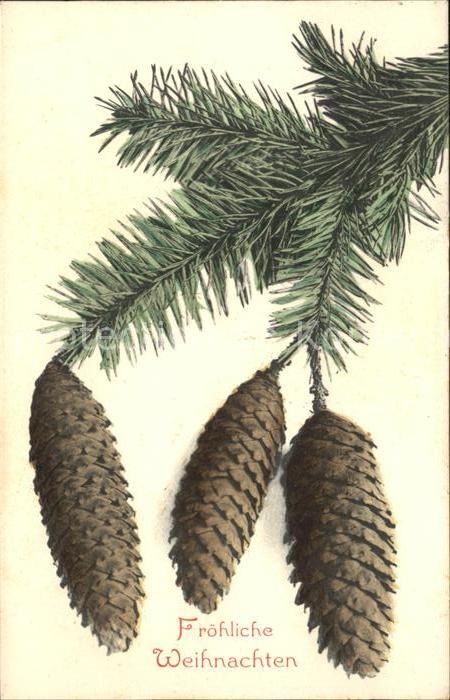 Weihnachten Tannenzapfen