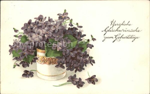 Geburtstag Veilchen Vase Litho
