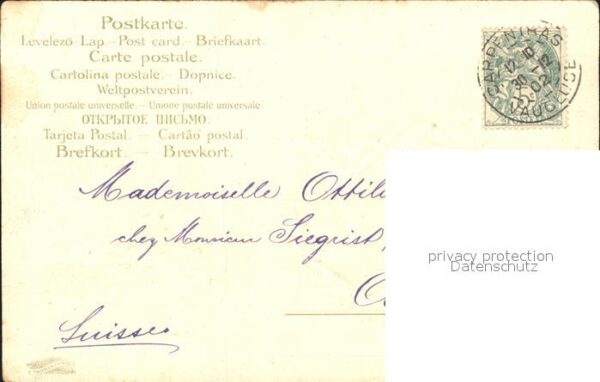 Rosen Litho – Bild 2