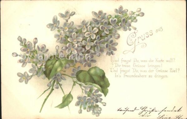 Blumengruesse Vergissmeinnicht Litho