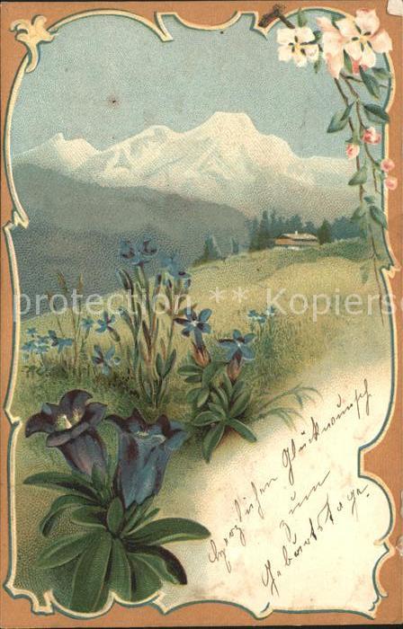 Blumen Enzian Berge Natur Litho