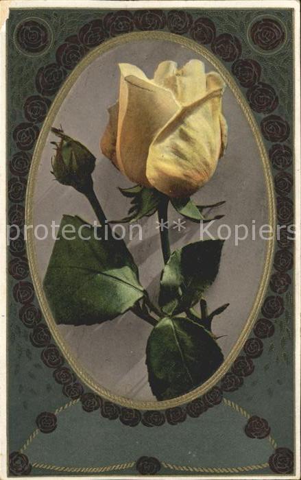 Rosen