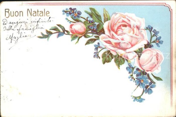 Rosen Vergissmeinnicht Weihnachten Litho