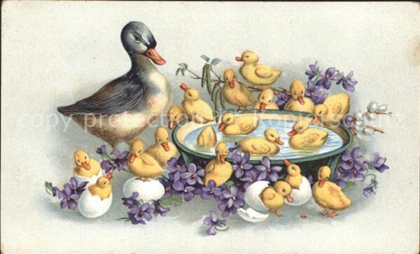 Enten Küken Veilchen Weidenkätzchen Litho