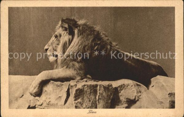 Loewe Zoo Berlin