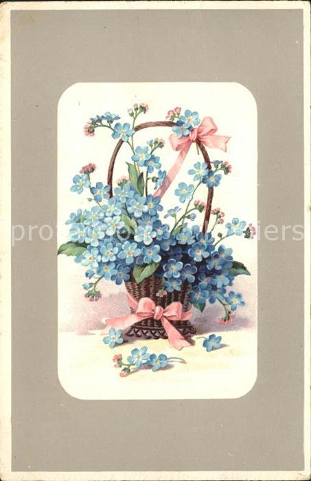 Blumen Vergissmeinnicht Korb Schleifen Litho