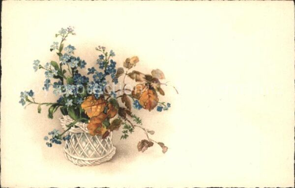 Blumen Vergissmeinnicht Blätter Litho