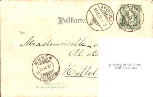 Rosen Vergissmeinnicht Korb Litho – Bild 2