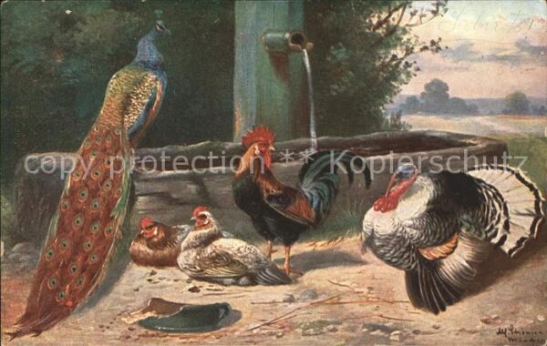 Gefluegel Pfau Hühner Hahn Truthahn Holztrog Küns
