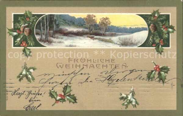 Weihnachten Stechpalme Tannenzapfen Litho