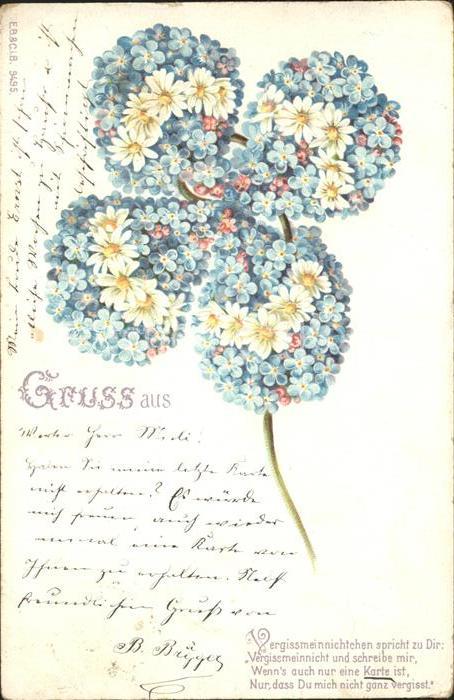 Kleeblatt Cloverleaf Trebol Trefle Vergissmeinnicht Margeriten Litho